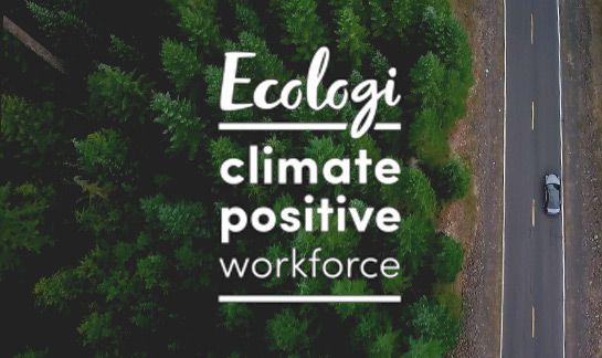 Who are Ecologi?